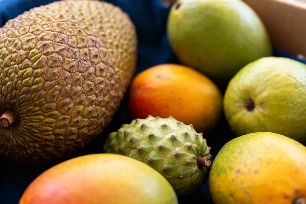 Fruits qui commencent par I : Liste rares et saveurs inédites