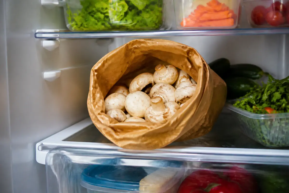 Conserver les champignons frais : astuces et gestes anti-gaspi